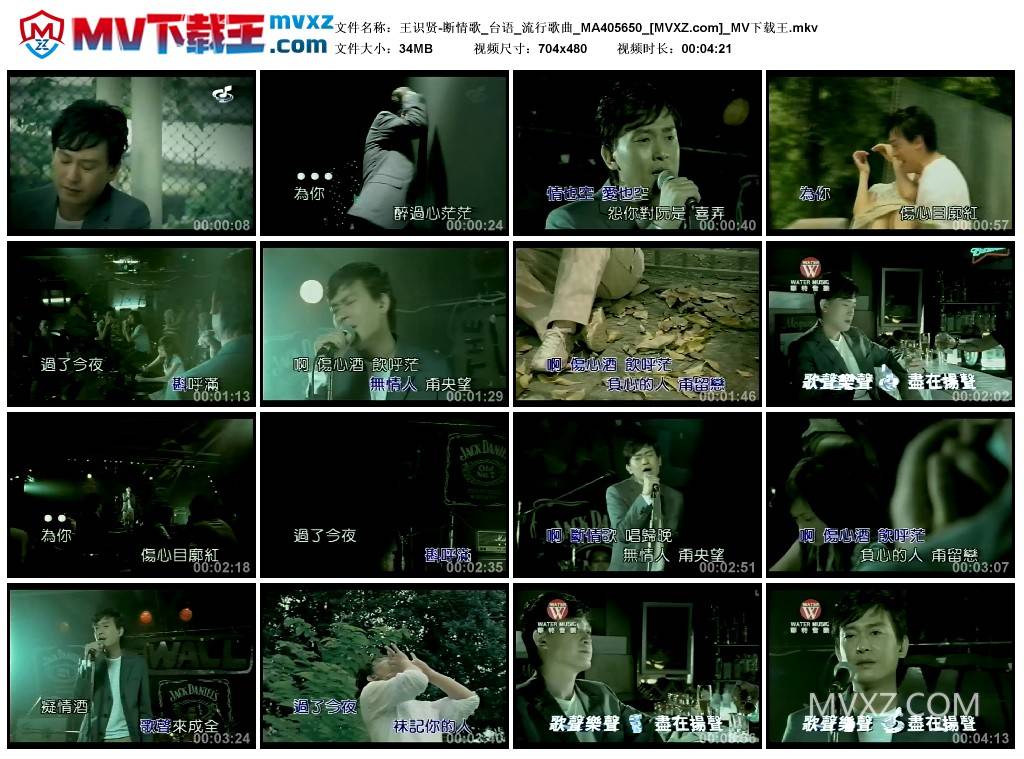 王识贤-断情歌_台语_流行歌曲_MA405650